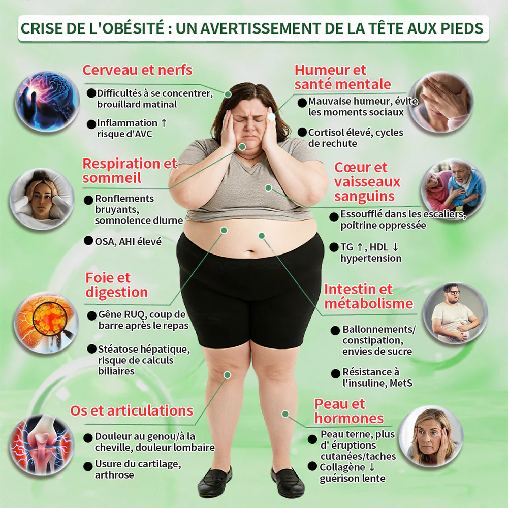 🔥 Nouveauté | Curalona® Patch Microneedle 10-en-1 – Berbérine & NAD+ pour le métabolisme, Bakuchiol pour la peau, Boswellia pour les articulations – Patch jour & nuit – 7 patchs – Résultats visibles en 7 jours - Image 8