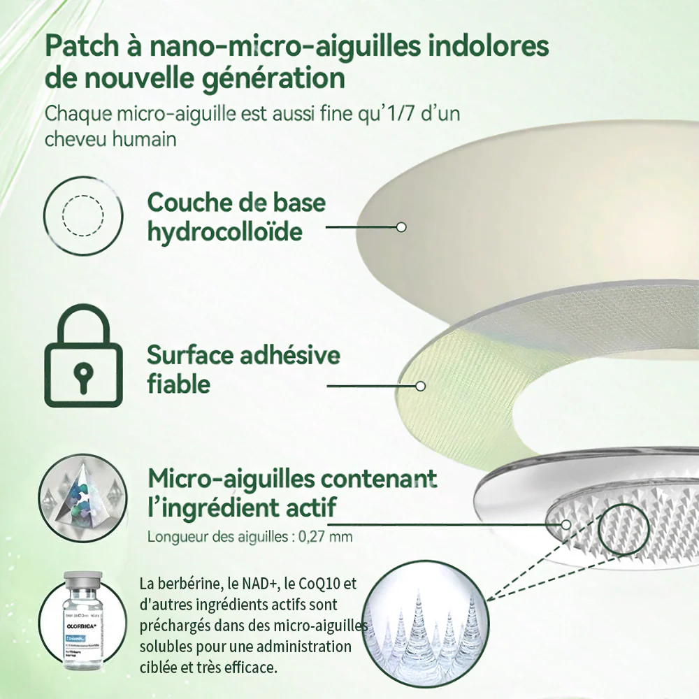 🏆 Recommandation n°1丨Purelora® Moringa Berbérine x NAD+ Patch Nano-Microneedle 10-en-1 Une application par jour, changements visibles dès 7 jours. Pour accompagner la gestion du poids, la fermeté de la peau et le bien-être global. - Image 14