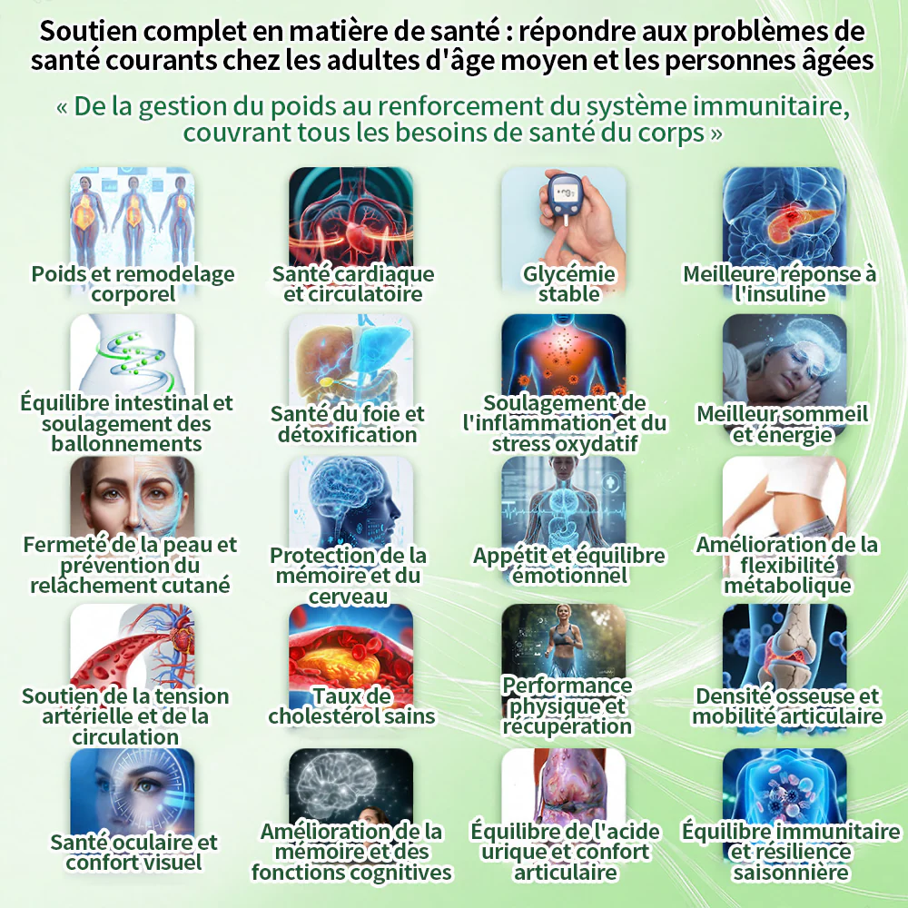 🏆 Recommandation n°1丨Purelora® Moringa Berbérine x NAD+ Patch Nano-Microneedle 10-en-1 Une application par jour, changements visibles dès 7 jours. Pour accompagner la gestion du poids, la fermeté de la peau et le bien-être global. - Image 2